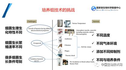 培養組通幽微世界，助力微生物資源大作為——記國家微生物科學數據中心網絡精品課網絡技術開發